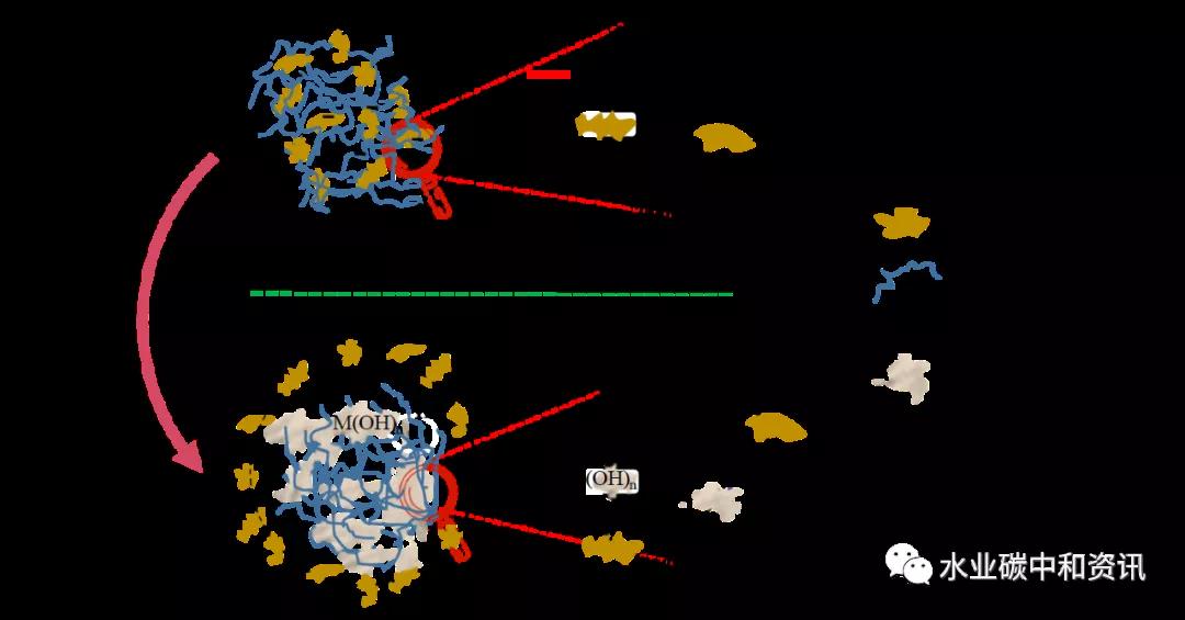 微信圖片_20210820082444.jpg 微信圖片_20210820082444.jpg