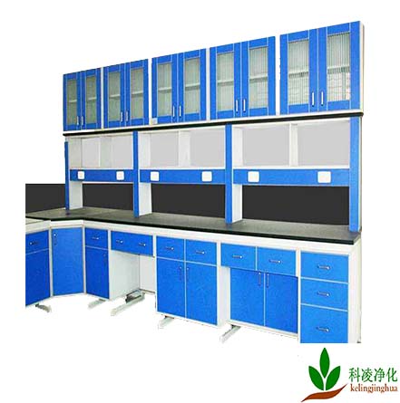 實(shí)驗(yàn)室建設(shè) 實(shí)驗(yàn)室建設(shè)