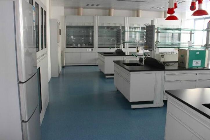 潔凈實驗室 潔凈實驗室