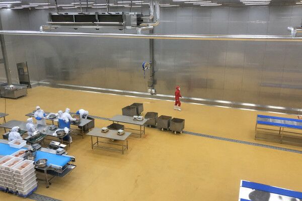 食品凈化車間 食品凈化車間