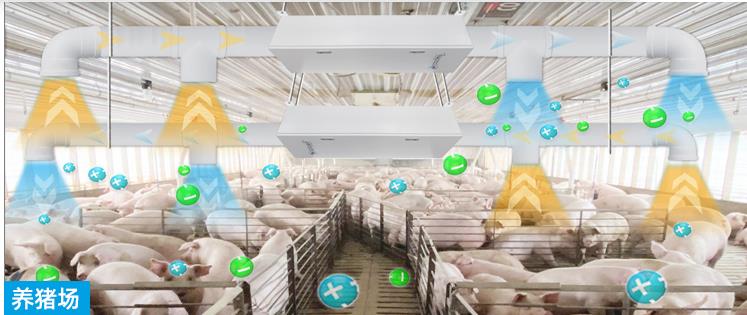 養(yǎng)殖場除臭設備