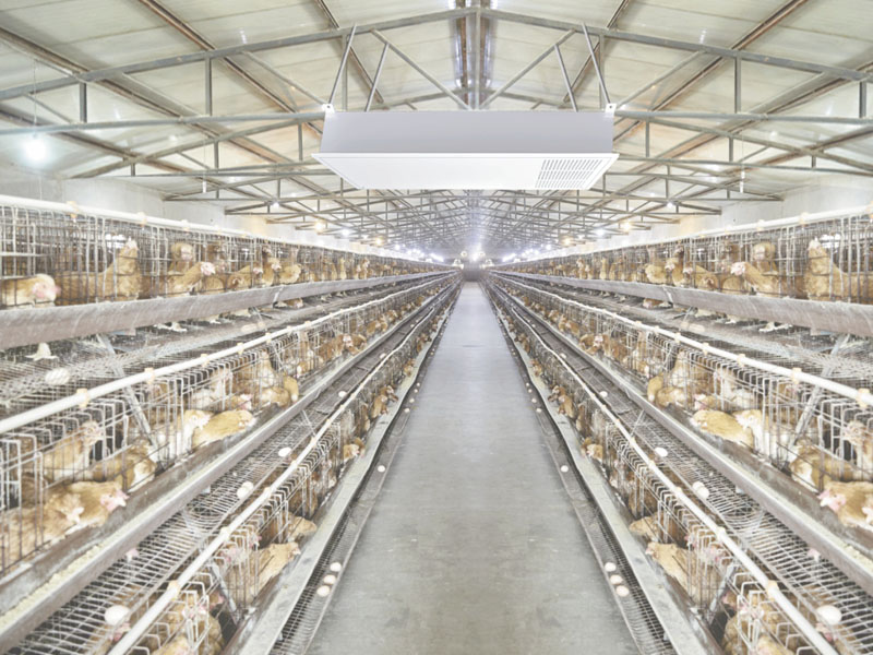 工業(yè)空氣凈化裝置