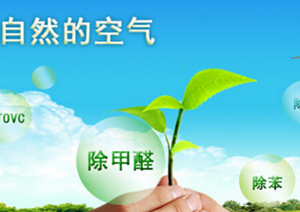 除了空氣凈化器，還有哪些方法可以有效去除甲醛？